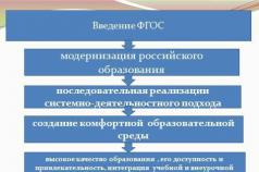 зачем нужен стандарт образования?